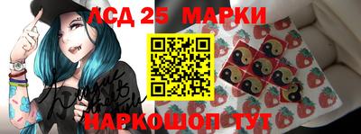 дмт Гай