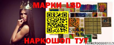 дмт Гай