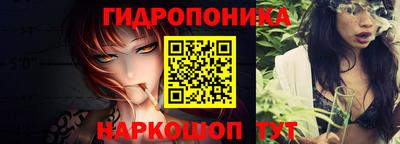 дмт Гай