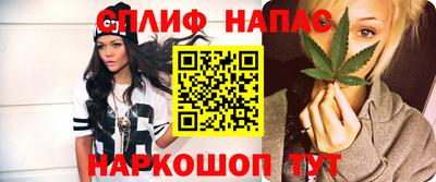 дмт Гагарин