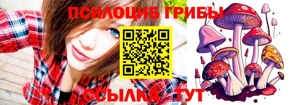 Галлюциногенные грибы MAGIC MUSHROOMS Малгобек