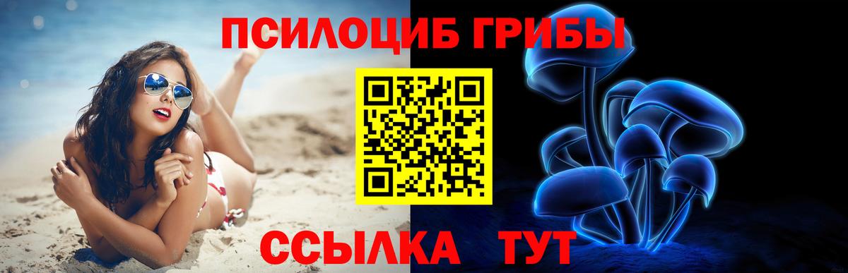 Псилоцибиновые грибы Psilocybine cubensis  как найти закладки  Малгобек  Псилоцибиновые грибы Psilocybine cubensis  Вход с VPN 